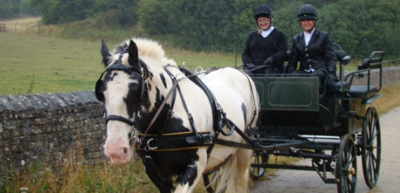 Carriage Driving Break in Sherwood